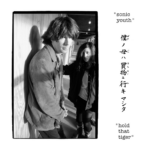Hold that Tiger by Sonic Youth