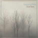 image_2025-03-22_060716370 Fleetwood Mac - Bare Trees album cover