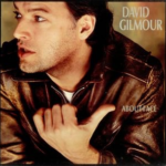 image_2025-03-22_060904110 David Gilmour - About Face album cover