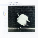 image_2025-03-22_073755290 Robert Plant - Principle of Moments album cover