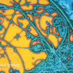 The_Strokes_-_Ist_Tis_It_US_cover Strokes Is This It album cover
